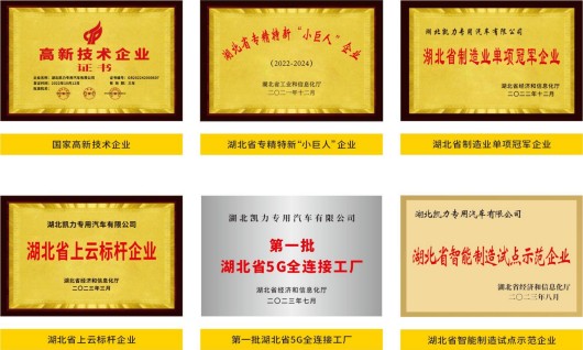 企業(yè)榮譽(yù) 企業(yè)榮譽(yù)